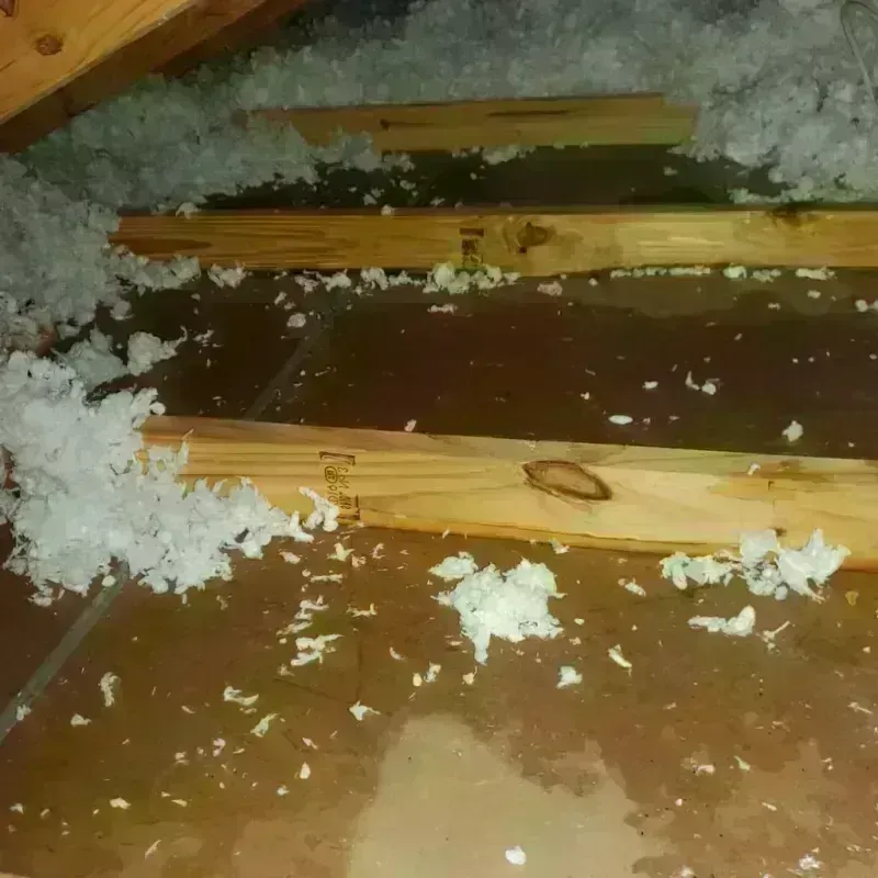 Attic Water Damage in Oak Bluffs, MA